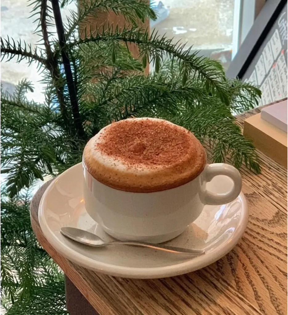 A perfectly made cappuccino with rich foam and a sprinkle of cinnamon, served in an elegant cup at Guden Guden Cafe, a cozy coffee spot in Seoul.
